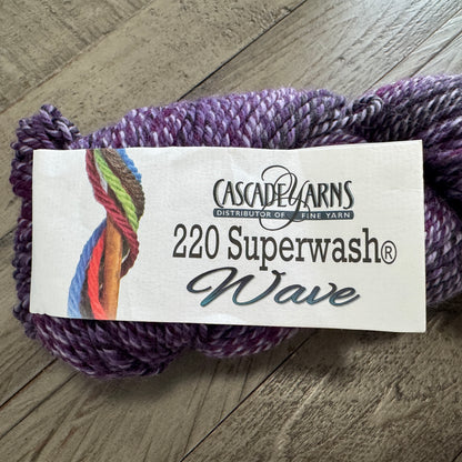 Cascade 220 Superwash Wave Yarn | Worsted Weight Yarn